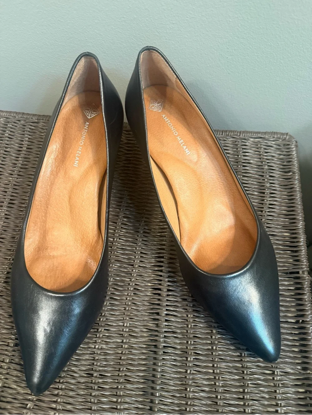 ANTONIO MELANI Black Pointed Leather Pumps